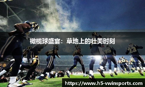 橄榄球盛宴：草地上的壮美时刻